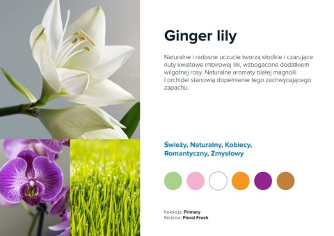 Nuty zapachowe Ginger Lily: lilia, jaśmin, imbir. Zapach zmysłowy i orientalny.