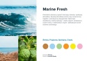 Nuty zapachowe Marine Fresh: woda morska, ozon, sól morska. Zapach świeży i orzeźwiający.