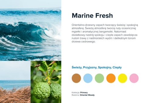 Nuty zapachowe Marine Fresh: woda morska, ozon, sól morska. Zapach świeży i orzeźwiający.