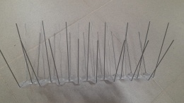 Kolce moduły Avifix R240 - 1 moduł - 33 cm