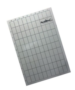 Lep do lamp Chameleon® EXG