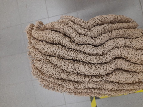 Siatka PIASKOWY na ptaki 19mm Wymiar 10mx10m (P1-R5-6)