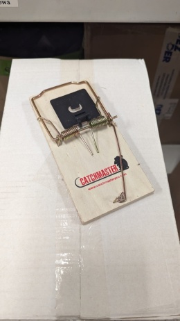 Szczurołapka Lucifer