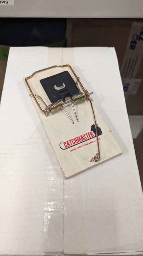 Szczurołapka Lucifer