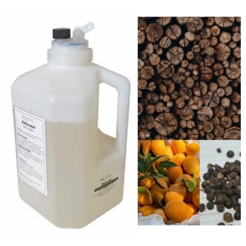 Wkład Zapachowy AirQ 1270 Boutique Noir 2500ml Prolitec