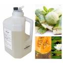Wkład Zapachowy AirQ 1270 Cucumber Mint 2500ml Prolitec