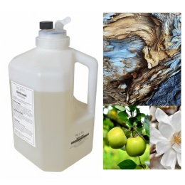 Wkład Zapachowy AirQ 1270 Blue Wood 2500ml Prolitec