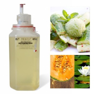 Wkład Zapachowy AirQ 270 Cucumber Mint 500ml Prolitec