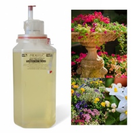 Wkład Zapachowy AirQ 270 Big Magic Garden 500ml Prolitec