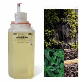 Wkład Zapachowy AirQ 270 Patchouli Prolitec 500ml