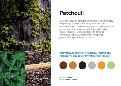 Wkład Zapachowy AirQ 270 Big Patchouli Prolitec 500ml