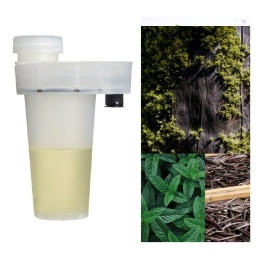 Wkład Zapachowy AirQ Small Patchouli 105ml Prolitec