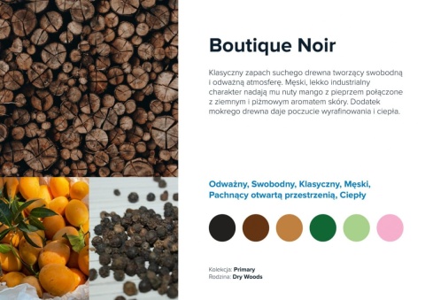 Wkład zapachowy AIRQ 270 Boutique Noir Prolitec 500ml