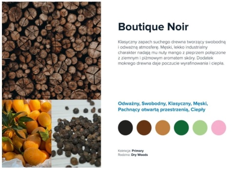 Wkład zapachowy AirQ 160 Small Boutique Noir 105ml Prolitec