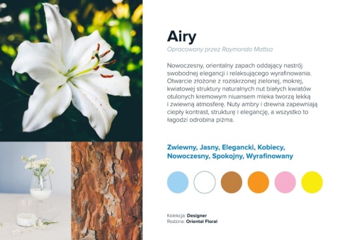 Wkład zapachowy AirQ 270 Airy 500ml Prolitec