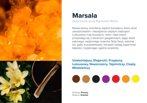 Wkład zapachowy AirQ 570 Marsala 500ml Prolitec