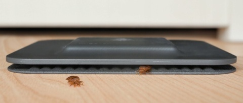 BugScents Sentry Pro 1szt - detektor pluskiew z technologią szybkiego wabienia