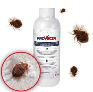 Provecta 1L - Provecta 100 ml – płyn do oprysku na pluskwy, prusaki, muchy