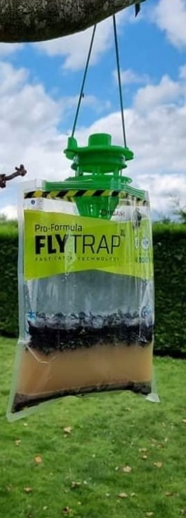 Fly Trap 20 000 worek z atraktantem spożywczym