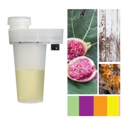 Wkład Zapachowy AirQ 160 Fig 105ml Prolitec