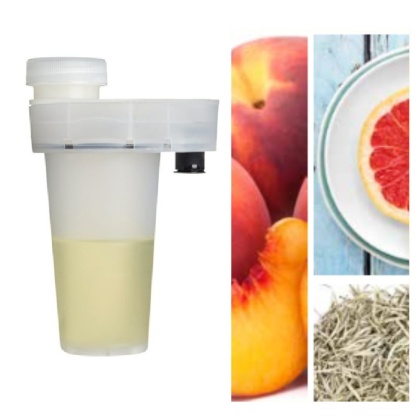 Wkład Zapachowy AirQ 160 Juicy Peach 105ml Prolitec