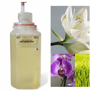 Wkład Zapachowy AirQ 270 Ginger Lily 500ml Prolitec