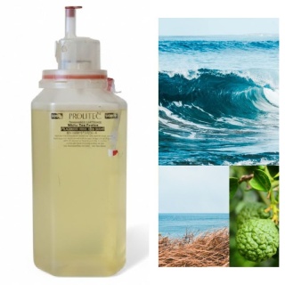 Wkład Zapachowy AirQ 270 Marine Fresh 500ml Prolitec