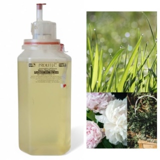 Wkład Zapachowy AirQ 270 Optimism 500ml Prolitec