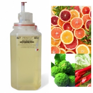 Wkład Zapachowy AirQ 270 Sunshine 500ml Prolitec