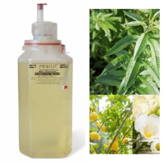 Wkład Zapachowy AirQ 270 Verbena Tea Prolitec 500ml