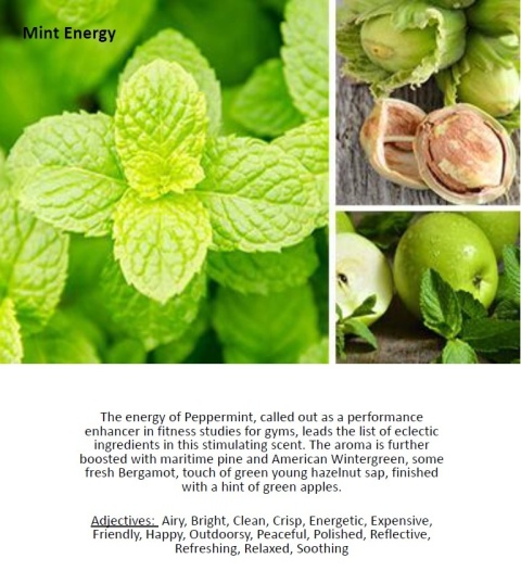 Mint Energy, prolitec.