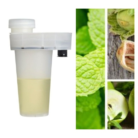 Zapach Mint Energy, wkład 160 small.