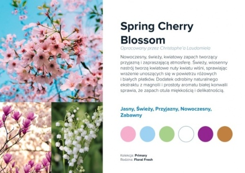 Spring Cherry Blossom, prolitec.