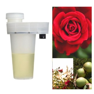 Wkład zapachowy AirQ 160 Tuscan Rose 105ml Prolitec
