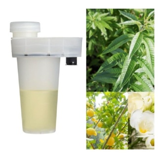Wkład zapachowy AirQ 160 Verbena Tea 105ml Prolitec
