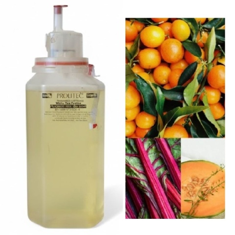 Zapach Juicy Peach, wkład 270 big.