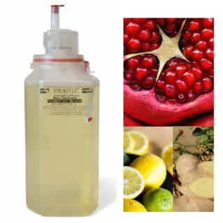 Wkład zapachowy AirQ 270 Pomegranate Fusion 500ml Prolitec