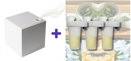 PROMO Dyfuzor + 3szt Wkład Green Tea 105ml AIRQ 160