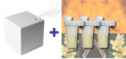 PROMO Dyfuzor + 3szt Wkład Marsala 105ml AIRQ 160