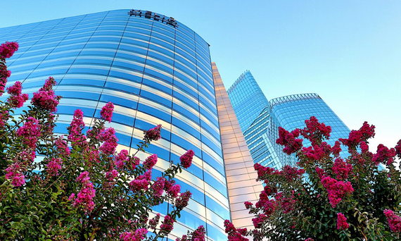 Wpływ jakości powietrza w pomieszczeniach na zdrowie i samopoczucie