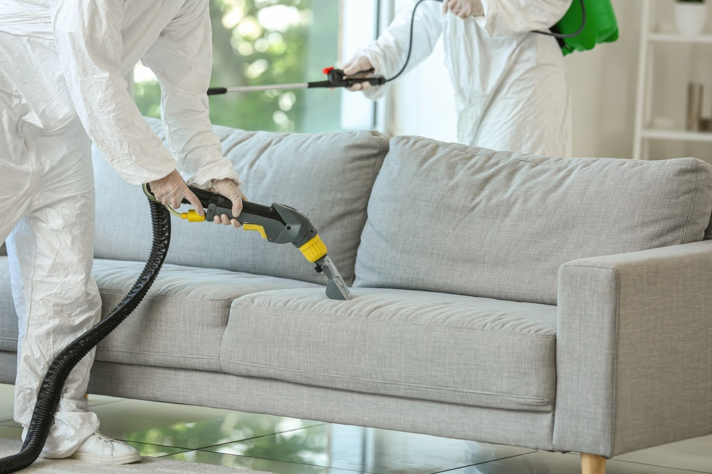 Jak posprzątać mieszkanie po dezynsekcji?