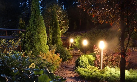 Lampy owadobójcze jak działają i kiedy stosować